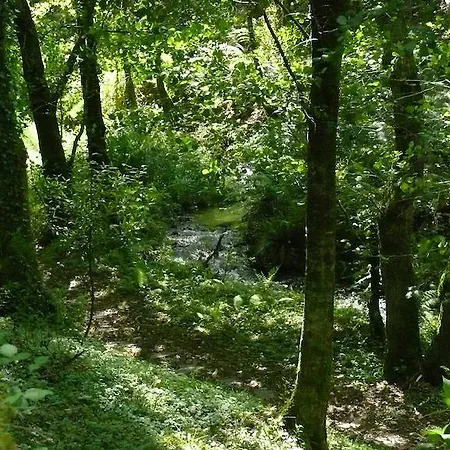 Muinos De Pontenoval 度假居 *